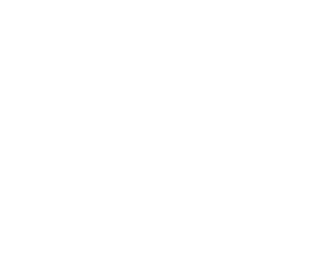 Teamecommerce S.r.l.